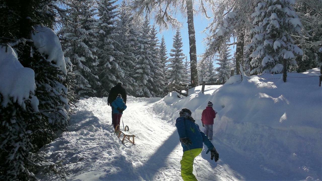 Ferienwohnung Dolomitenpanorama Oberlienz Экстерьер фото